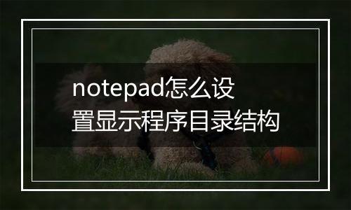 notepad怎么设置显示程序目录结构