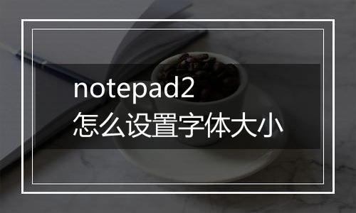 notepad2怎么设置字体大小