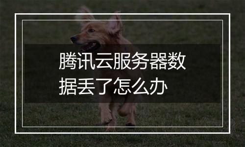 腾讯云服务器数据丢了怎么办