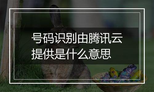 号码识别由腾讯云提供是什么意思