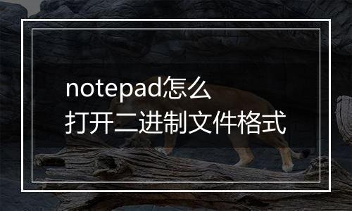 notepad怎么打开二进制文件格式