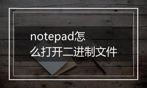 notepad怎么打开二进制文件