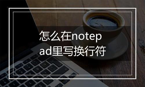 怎么在notepad里写换行符