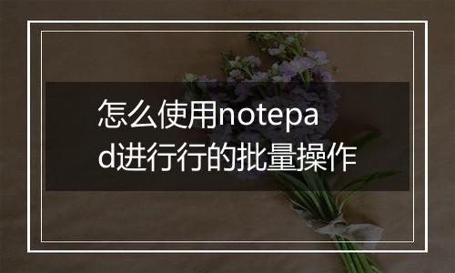 怎么使用notepad进行行的批量操作