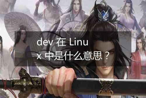 dev 在 Linux 中是什么意思？