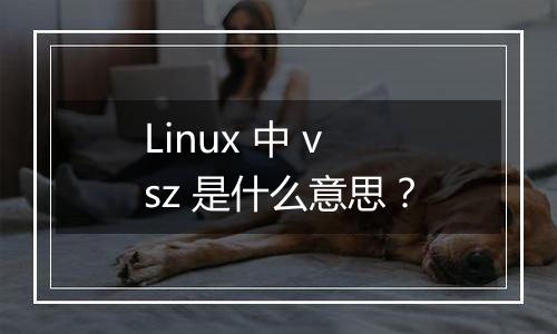 Linux 中 vsz 是什么意思？
