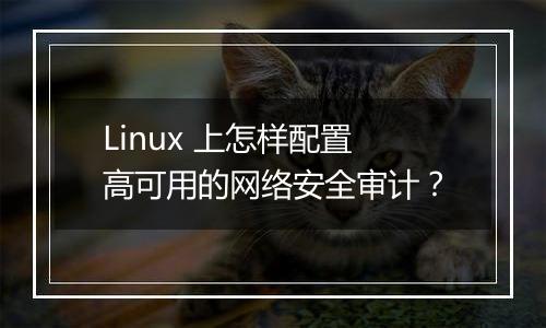 Linux 上怎样配置高可用的网络安全审计?