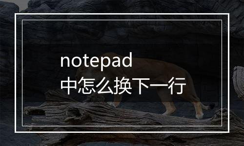 notepad中怎么换下一行