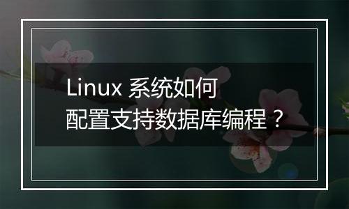 Linux 系统如何配置支持数据库编程?