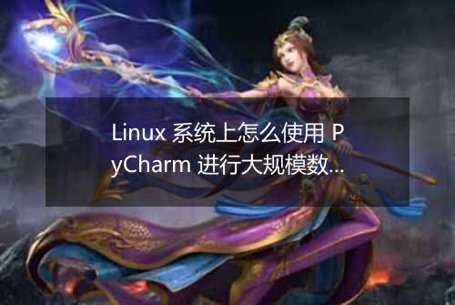 Linux 系统上怎么使用 PyCharm 进行大规模数据处理?