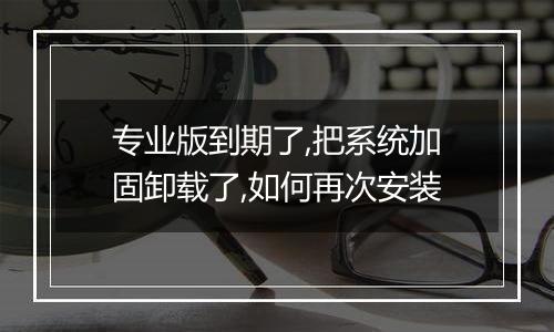 专业版到期了,把系统加固卸载了,如何再次安装