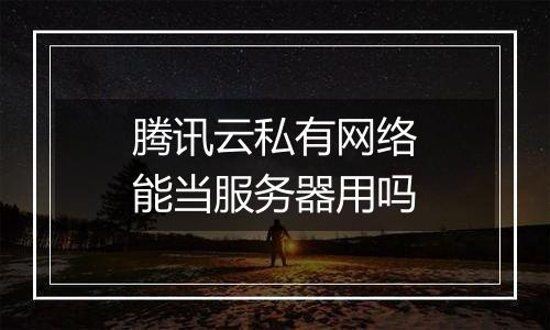 腾讯云私有网络能当服务器用吗