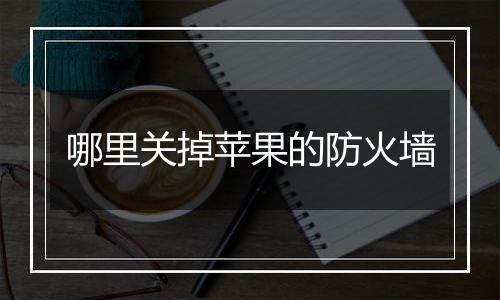 哪里关掉苹果的防火墙
