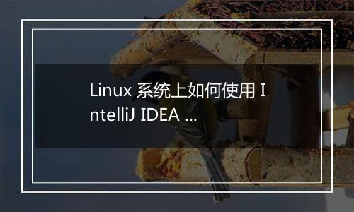 Linux 系统上如何使用 IntelliJ IDEA 进行自然语言处理？