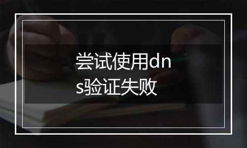 尝试使用dns验证失败