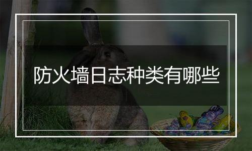 防火墙日志种类有哪些