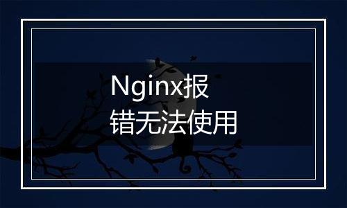 Nginx报错无法使用