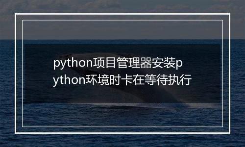 python项目管理器安装python环境时卡在等待执行