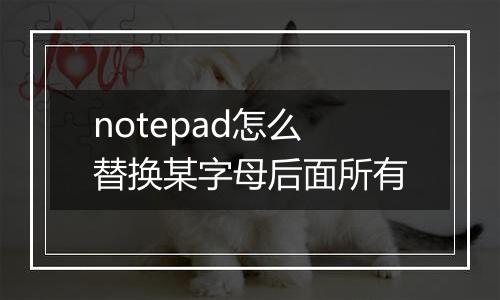 notepad怎么替换某字母后面所有
