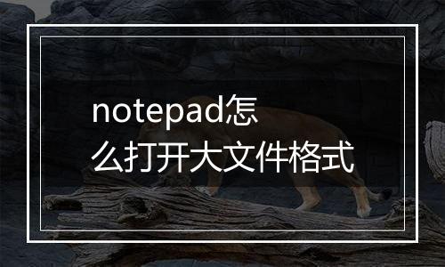notepad怎么打开大文件格式