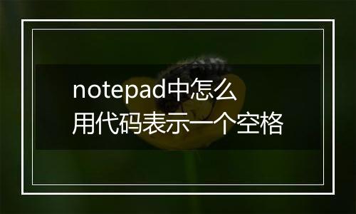 notepad中怎么用代码表示一个空格