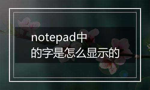 notepad中的字是怎么显示的