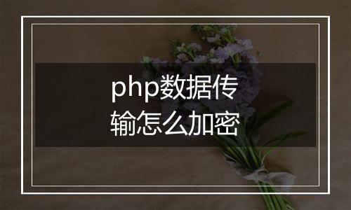 php数据传输怎么加密