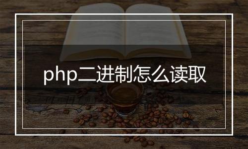 php二进制怎么读取