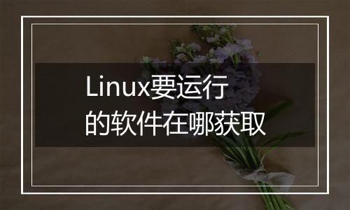 Linux要运行的软件在哪获取