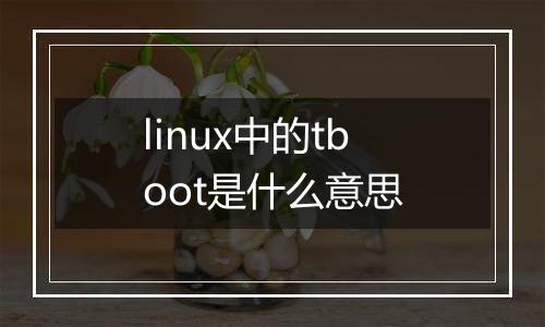 linux中的tboot是什么意思