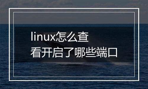linux怎么查看开启了哪些端口