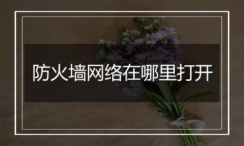 防火墙网络在哪里打开