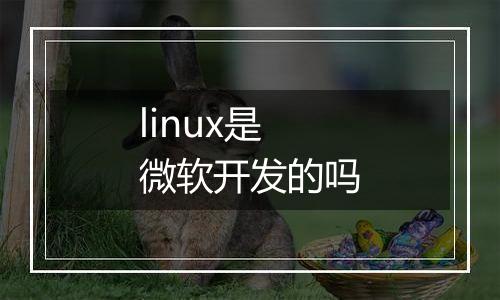 linux是微软开发的吗