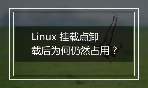 Linux 挂载点卸载后为何仍然占用?
