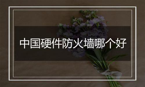 中国硬件防火墙哪个好