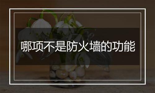 哪项不是防火墙的功能