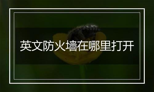 英文防火墙在哪里打开
