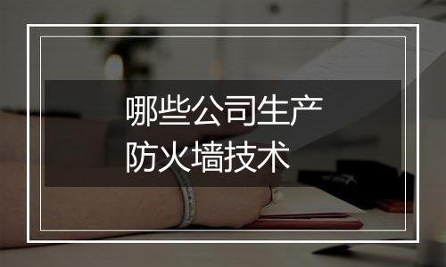 哪些公司生产防火墙技术