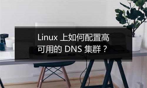 Linux 上如何配置高可用的 DNS 集群?