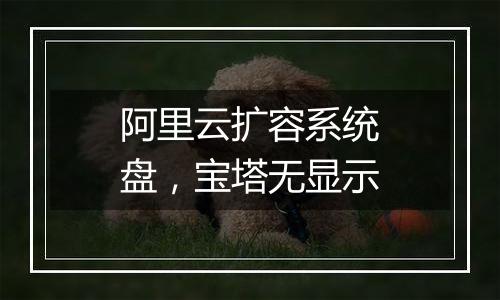 阿里云扩容系统盘,宝塔无显示