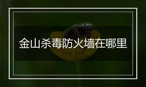 金山杀毒防火墙在哪里