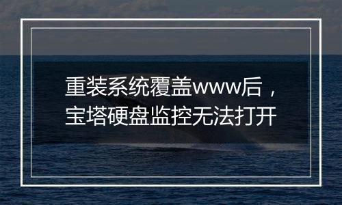 重装系统覆盖www后，宝塔硬盘监控无法打开