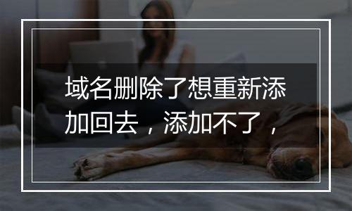 域名删除了想重新添加回去,添加不了,