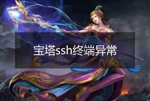 宝塔ssh终端异常