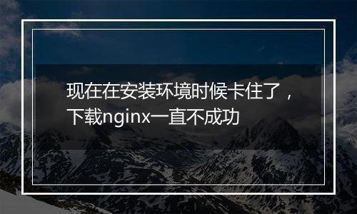 现在在安装环境时候卡住了,下载nginx一直不成功