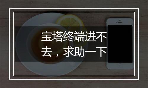 宝塔终端进不去，求助一下