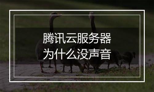腾讯云服务器为什么没声音