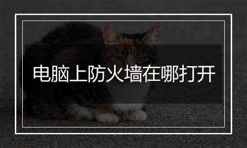 电脑上防火墙在哪打开