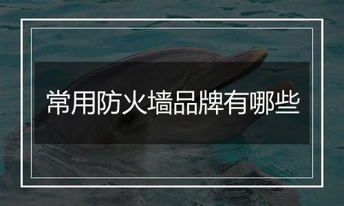 常用防火墙品牌有哪些