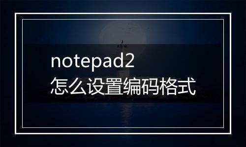 notepad2怎么设置编码格式